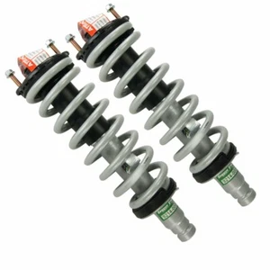 Front Left Right Complete Strut Assembly for 2002-2009 Chevrolet Trailblazer - Picture 1 of 5