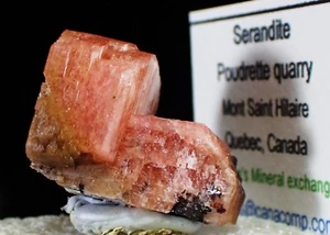 EXQUISITE SERANDITE Thumbnail Fine Mineral Specimen Mont Saint Hilaire CANADA - Picture 1 of 8