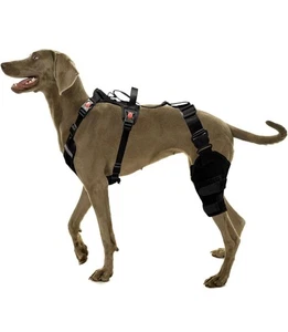 Professional Dog Knee Brace w/ Harness For ACL, CCL, and Joint Injuries LARGE - Picture 1 of 5