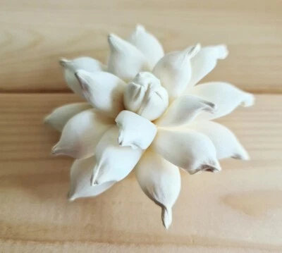 9 Синяя птица суккулент Sola дерева цветок диффузор цветы 8 см диаметр. Для рукоделия - Изображение 1 из 4