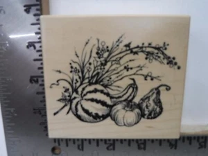 PSX K3183 PUMPKIN GOURDS FALL HARVEST THANKSGIVING WOOD RUBBER STAMP EUC L1620 - Picture 1 of 2