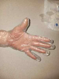 Clear Plastic Food Service Gloves Disposable Kitchen Poly Powder-latex Free LG - Picture 1 of 4