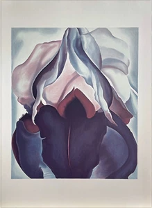Georgia O'Keeffe BLACK IRIS 1926 Lithograph on Arches Paper Flower Close-Up View - Picture 1 of 6