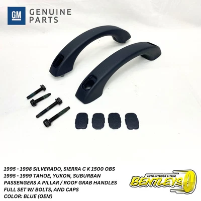 1995 - 1998 SILVERADO SIERRA OBS PASSENGER A PILLAR & ROOF GRAB HANDLE BLUE SET - Image 1 of 4