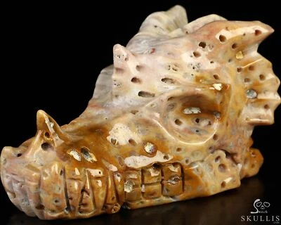 Escultura de calavera de dragón de cristal tallada a mano fósil de coral de 3,9", cristal curativo Foto 1 de 4