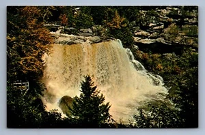 Cartolina vintage West Virginia Blackwater Falls cascata natura - Foto 1 di 2