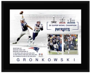 Rob Gronkowski New England Patriots 10.5" x 13" Sublimated Player Plaque - Picture 1 of 1