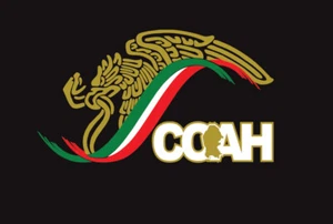 Mexico escudo Coahuila Car Window Vinyl Sticker Decal Gobierno de Mex Eagle COAH - Picture 1 of 5