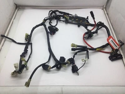 Conjunto de arnés de cableado eléctrico principal Yamaha 2004 RX-1 Warrior 8FG-82590-00-00 Foto 1 de 4