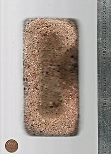 LARGE Heavy UK North Sea beach brick 3.1 Kg Rustic Ocean Bookend Dunbar Scotland - Picture 1 of 6