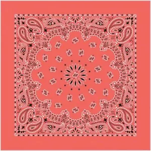 Carolina Creative Bandana Paisley madreselva - Imagen 1 de 1