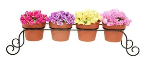 Herb Pot Stand Set, Holds Four 4 Inch Pots- 22 Inches Long - Picture 1 of 5