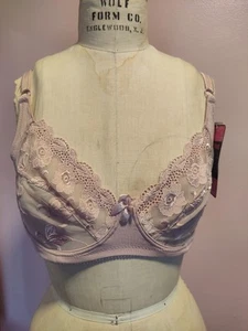 Carnival NWT 511 Dark Beige Lace Bra 34DD - Picture 1 of 4
