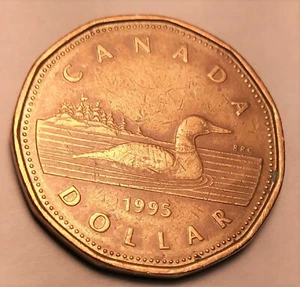 Coin Canada $1 /duck 1995 / bronze; nickel - Picture 1 of 2