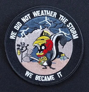 Skunkworks We Did Not Weather The Storm Lockheed USAF NASA Embroidered PATCH - Picture 1 of 6