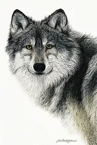 WOLF KUNSTDRUCK Silent Watch Jan Henderson - Bild 1 von 1
