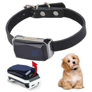 dog gps collar ebay