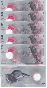 Maldives - 5 pcs x 5 Rufiyaa 2017 UNC P. A26 Polymer Lemberg-Zp - Picture 1 of 2