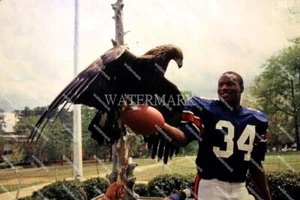 GE596 Bo Jackson Auburn Tigers War Eagle Heisman 8x10 11x14 16x20 Photo - Picture 1 of 1