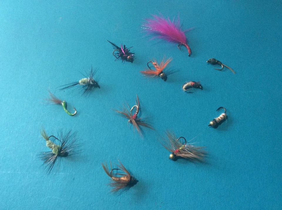 12 Nymphen - neu - Bild 1 von 1