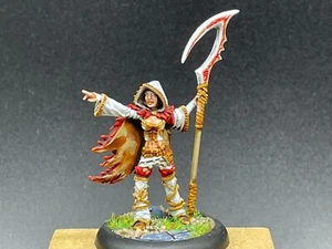 28mm Miniature Painted Druid Hordes Warmachine D&D - Picture 1 of 7