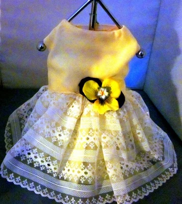 Я снова в продаже!!   Новый ручной работы собаки платье маленький желтый кружева свадебное домашнее животное - Изображение 1 из 4