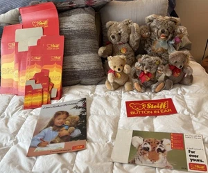 Posten: 5 Zotty Steiff Gelenkbären mit Etikett, neue Kartons, Verkaufskataloge, 2 Bärenbücher - Bild 1 von 16