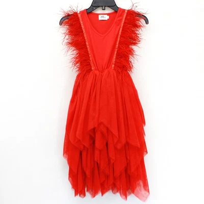 Lola The Boys Feather Trim Tiered Tulle Party Dress Kids Girl 12 Years Holiday - Image 1 of 4
