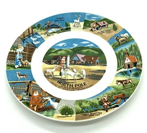 Vintage Nordpol Colorado State Teller Souvenir rund 10" - Bild 1 von 6