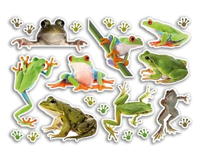 DESTINATION VINYL LTD A5 Sticker Sheet Frog Vinyl Stickers - Animals Tree Scrapbooking Travel #80817