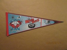 AHL Albany River Rats Vintage Defunct Circa 1994 Rowdy Fan Team Logo Pennant