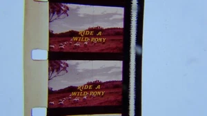 16mm Walt Disney's RIDE A WILD PONY Feature Film 1975 on two reels complete - Picture 1 of 23