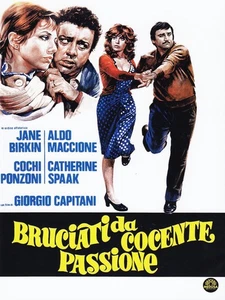 Bruciati Da Cocente Passione (DVD) Jane Birkin Aldo Maccione Cochi Ponzoni - Picture 1 of 2
