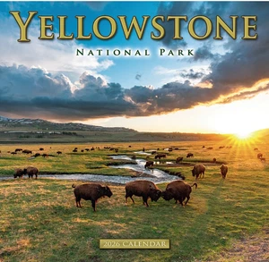 2026 Yellowstone National Park Wall Calendar – Scenic Nature & Wildlife Photogra - Picture 1 of 3