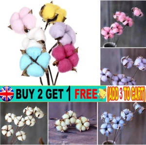 10 pcs Natural Dried Cotton Stem Colorful Flower Home Vase Display Wedding Decor - Picture 1 of 12