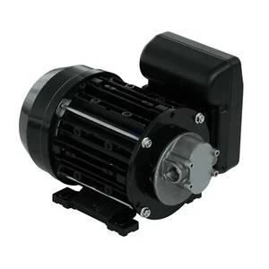 PIUSI Garda AC 230V bomba de transferencia/bomba de engranajes 10L/min para agua, diésel, aceite - Imagen 1 de 1