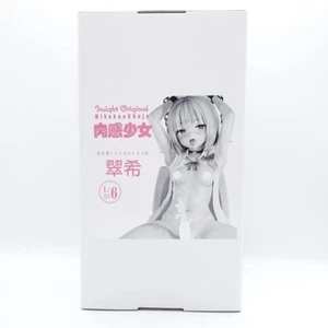 Nikkan Girl Futanari Girl Mizuki 1/6 Scale Figure Insight Used Japan - Picture 1 of 13