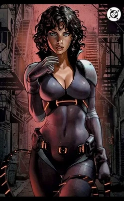 ABSOLUTE BATMAN #13 TALAVERA Virgin Variant 1st Catwoman & Harley LTD 1000 🔑🔥 Foto 1 de 2