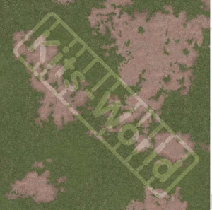 Kits-World B48-493 1:48 Plain Grass (Worn). 675mm(W) x 675mm(H) 26inches(W) x 26 - Picture 1 of 1