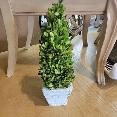 16 Inches Artificial Boxwood Tower Topiary Tree Decor UV (Indoor/Outdoor) - Image 1 of 3