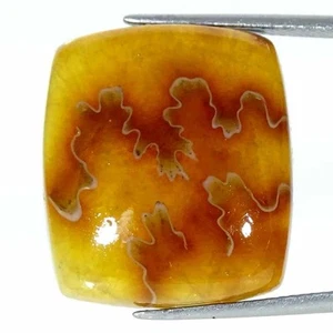 28.90Cts Natural Ammonite Cushion Cabochon Loose Gemstone - Picture 1 of 5