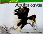 Aguilas calvas   Bald Eagles  Animales depredadores de Norteamerica  