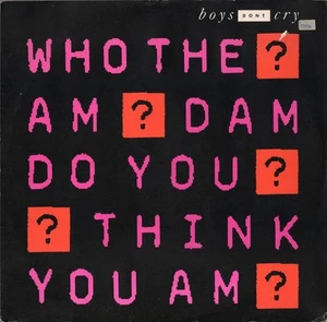 Boys Don't Cry - Who The Am Dam Do You Think You Am?, 12", (Vinyl) - Picture 1 of 1