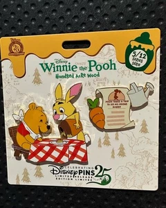 2025 Disney Parks Winnie The Pooh & Rabbit Hundred Acre Wood Pin Series 5/12 NEW - Picture 1 of 4