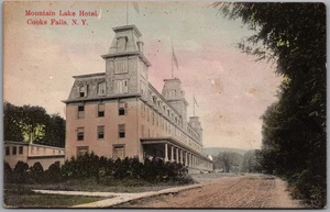 Postal Cooks Falls Nueva York c1909 Mountain Lake Hotel - Imagen 1 de 2