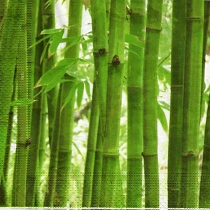 Bamboo Forest Designer Luncheon Napkins - 16 Pieces/Pkg. (fdppo629) - Picture 1 of 1