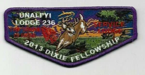 OA Lodge 236 Un A Li'yi S78 Dixie 2013 Coastal Carolina Charleston, SC - Picture 1 of 1