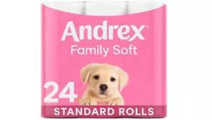 Rollos de inodoro Andrex Gentle Clean - Paquete familiar de 24 rollos de inodoro - Comprar inodoro a granel - Imagen 1 de 4
