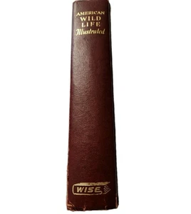 1962 American Wild Life Illustrated  Vintage Hard Cover Book Color Photos Nature - Picture 1 of 10
