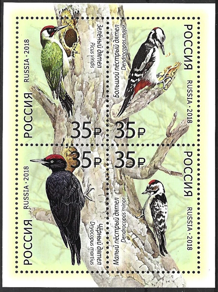 Russia. 2018. Woodpeckers. Sc# 7894. Sheet of 4. MNH - Image 1 of 1